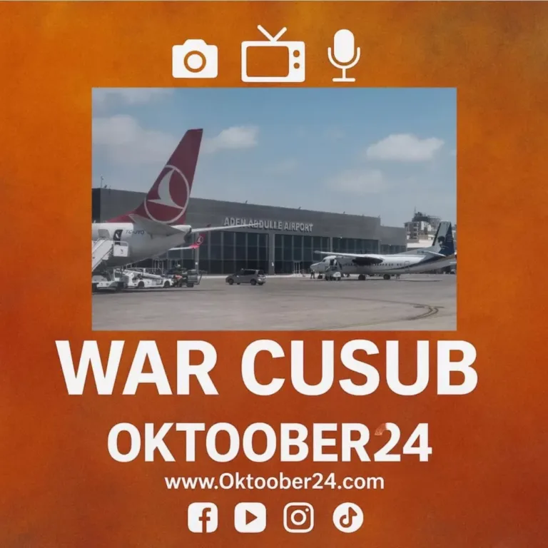 Dhalinyaro USA laga soo Tarxiilay ayaa Muqdisho…