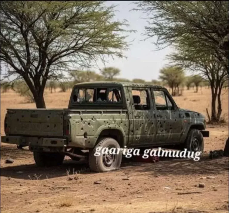 CXDS ku biirey dagaal beeleed ka socda Galmudug iyo qasaaraha xoogan, Aqriso