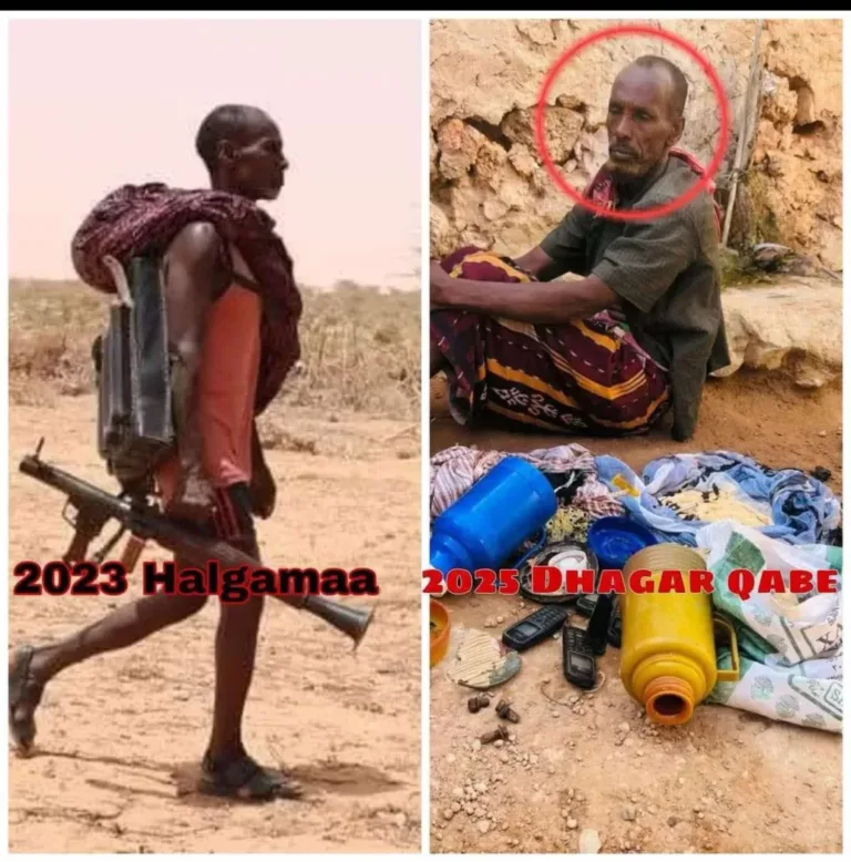 Halyeeygii safka khawaarijta kasoo Jeestey waa kuma ?
