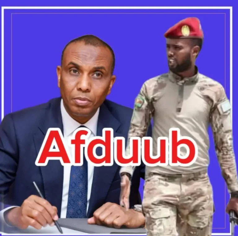 Raisul wasaare Hamze ma afduub ayuu ku joogaa xafiiska