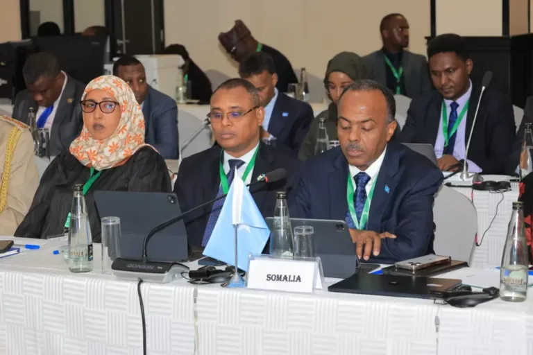 Kulankii gollaha Nabada Iyo Amniga Ee African Union ee looga hadlay soomaaliya,