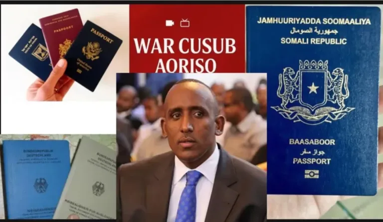 Soomaali ku xayiran garoomada caalamka kadib markii la weydiiyay VISAHA ONLINE