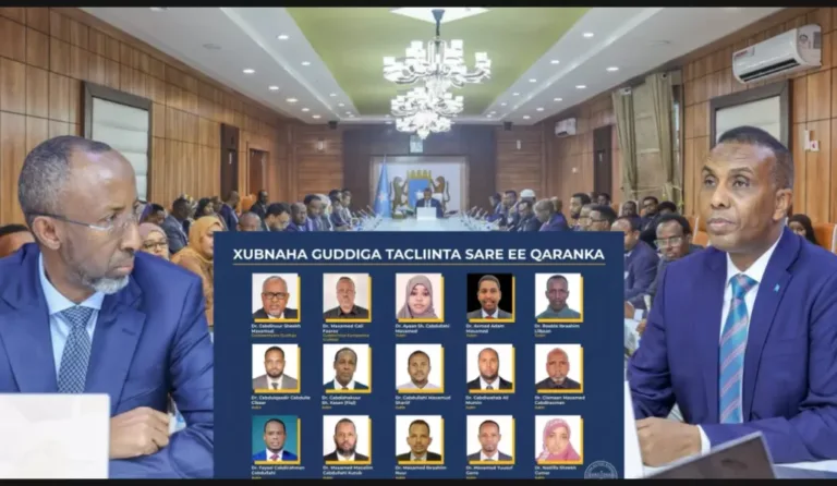 Xakuumada Faderaalka ayaa Ansixisay xubnaha gudiga Tacliinta sare ee Qaranka,