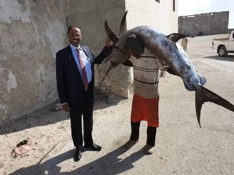 $6.5 dollar ayuu gaaray qiimaha malaayga suuqyada Muqdisho