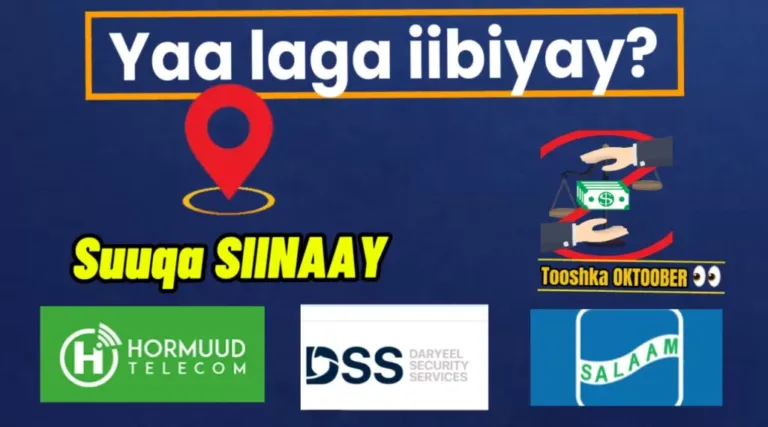 Dhulka Siinaay yaa laga iibiyay, Hormuud iyo Salaam maxaa ka galay ?