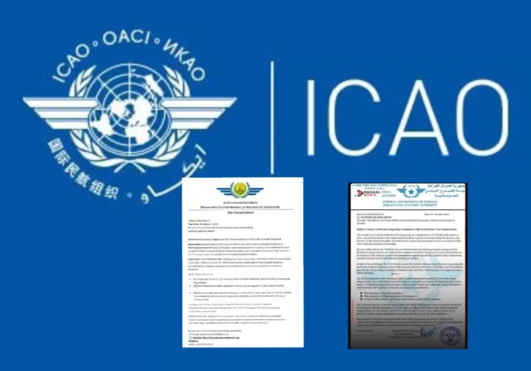 Maxay tahay halista Amni ee kasoo socata Hawada Soomaaliya ee la siyaasadeeyay ( e-visa )? SOMALILAND