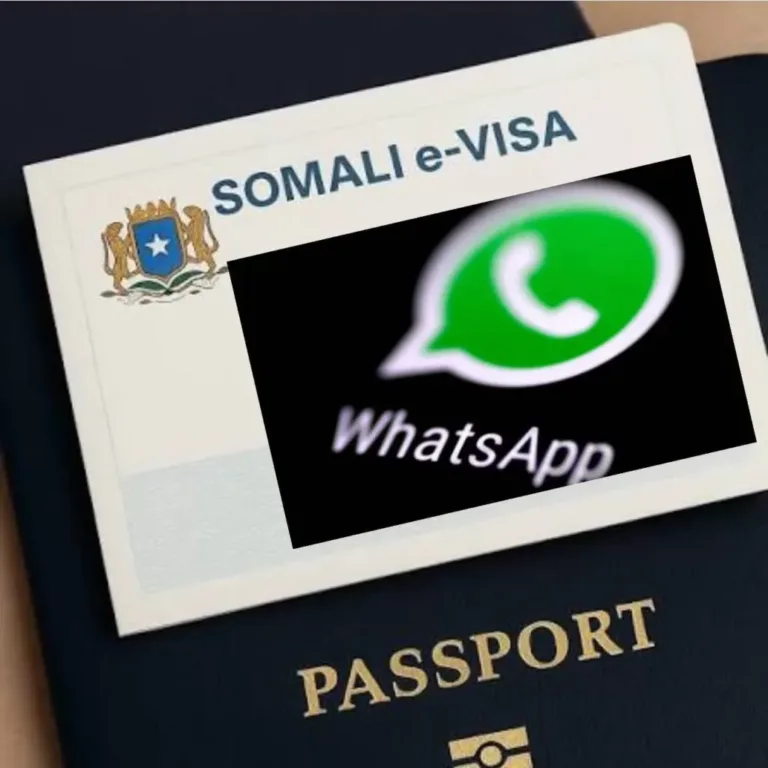 E-visa Soomaaliya Ciladeysan iyo WhatsApp Fiiso Lagu Soo saarayo