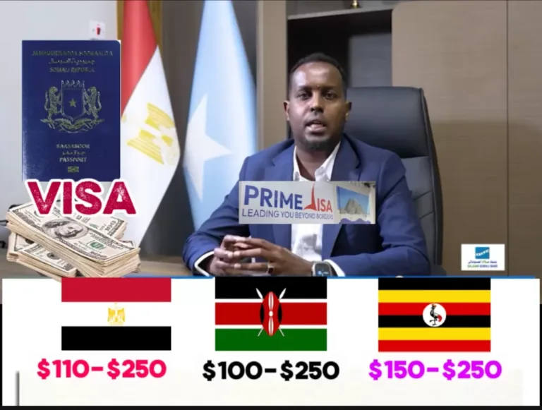 Visa Masar oo loo Xiray Shirkad iyo qiimaha laba jibaarmay.