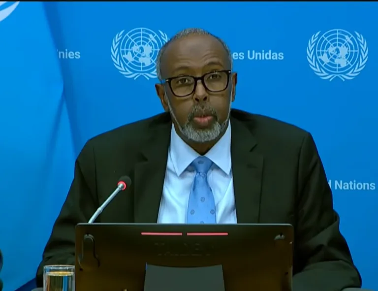 Who Is Security Somalia Representee President